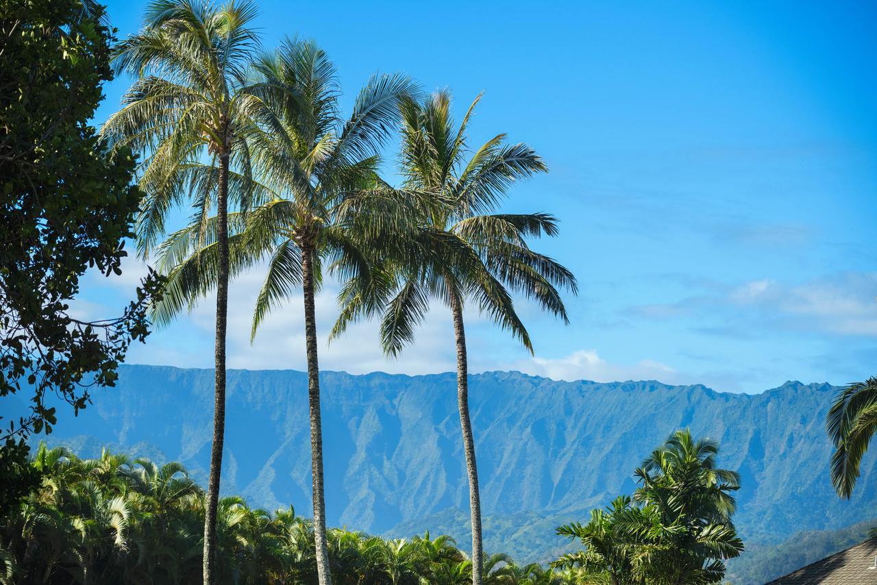 Hanalei Bay Villas #33 Принсвилл Экстерьер фото